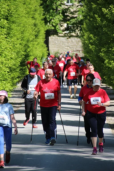Öhringer Stadtlauf Alle(s) inklusive Lauf 2026