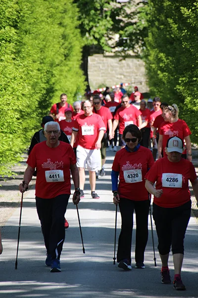 Öhringer Stadtlauf Alle(s) inklusive Lauf 2026