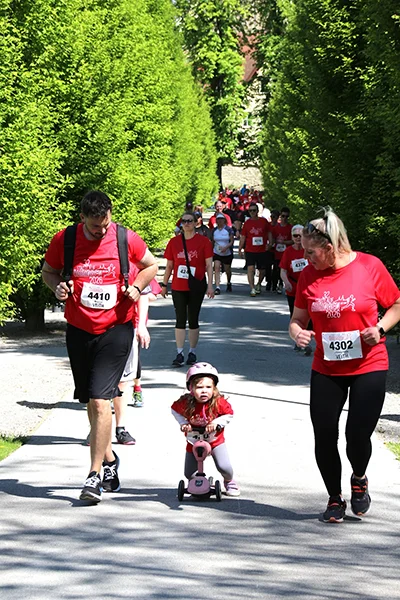 Öhringer Stadtlauf Alle(s) inklusive Lauf 2026