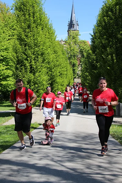 Öhringer Stadtlauf Alle(s) inklusive Lauf 2026