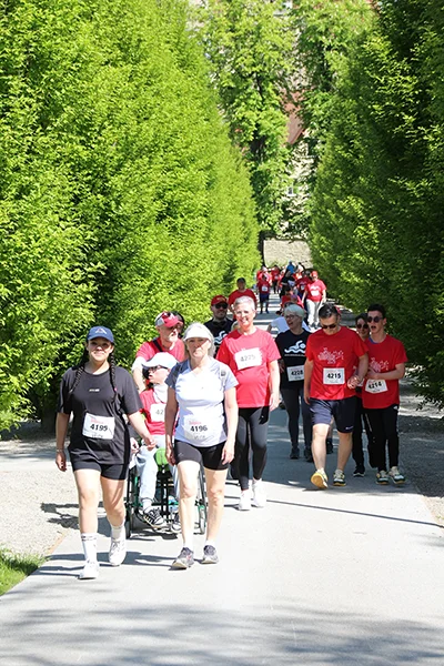 Öhringer Stadtlauf Alle(s) inklusive Lauf 2026