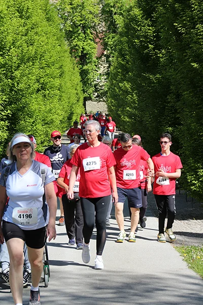 Öhringer Stadtlauf Alle(s) inklusive Lauf 2026