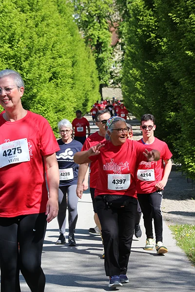 Öhringer Stadtlauf Alle(s) inklusive Lauf 2026