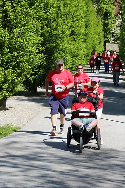 Öhringer Stadtlauf Alle(s) inklusive Lauf 2026