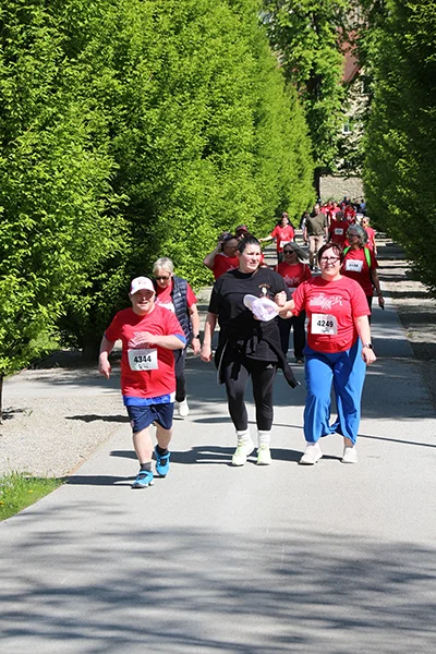 Öhringer Stadtlauf Alle(s) inklusive Lauf 2026
