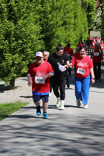 Öhringer Stadtlauf Alle(s) inklusive Lauf 2026
