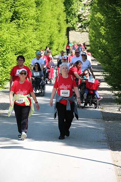 Öhringer Stadtlauf Alle(s) inklusive Lauf 2026