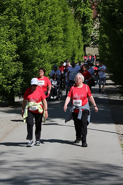 Öhringer Stadtlauf Alle(s) inklusive Lauf 2026
