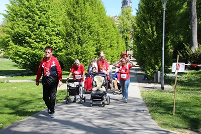 Öhringer Stadtlauf Alle(s) inklusive Lauf 2026