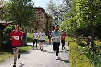 Öhringer Stadtlauf Freizeitlauf 2026