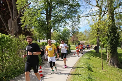 Öhringer Stadtlauf Freizeitlauf 2026