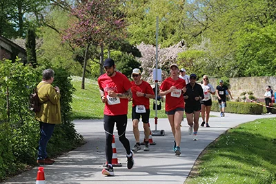 Öhringer Stadtlauf Freizeitlauf 2026