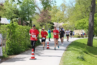Öhringer Stadtlauf Freizeitlauf 2026