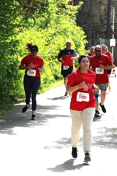 Öhringer Stadtlauf Freizeitlauf 2026