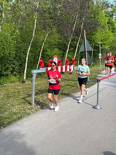Öhringer Stadtlauf Hauptlauf 2026