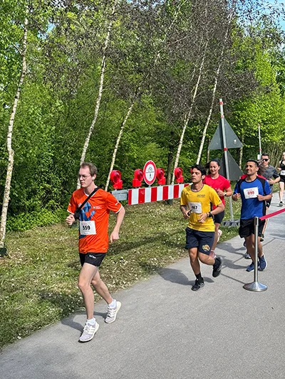 Öhringer Stadtlauf Hauptlauf 2026