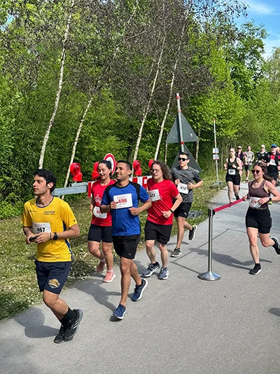 Öhringer Stadtlauf Hauptlauf 2026