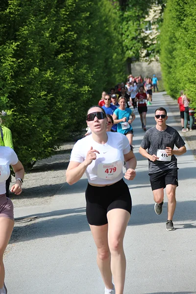 Öhringer Stadtlauf Hauptlauf 2026