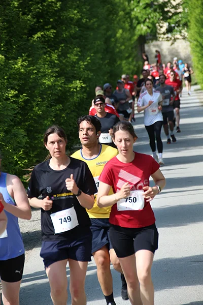 Öhringer Stadtlauf Hauptlauf 2026