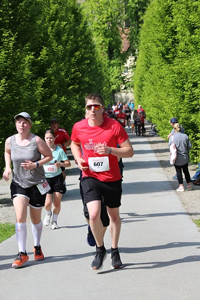 Öhringer Stadtlauf Hauptlauf 2026