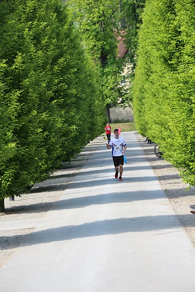 Öhringer Stadtlauf Hauptlauf 2026