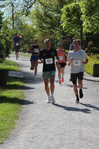 Öhringer Stadtlauf Hauptlauf 2026