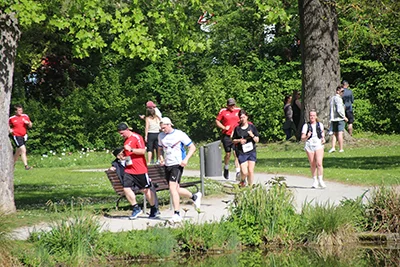 Öhringer Stadtlauf Hauptlauf 2026
