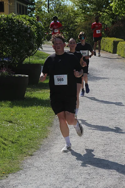Öhringer Stadtlauf Hauptlauf 2026