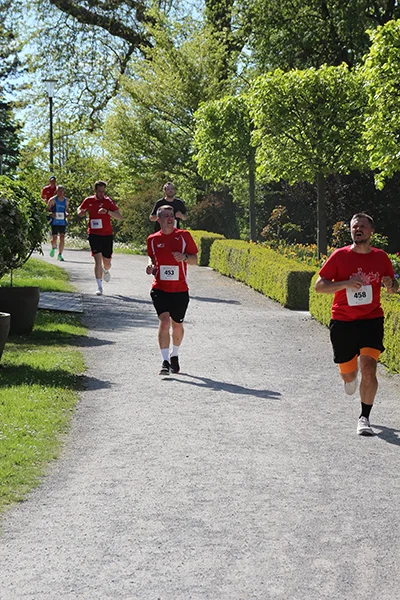 Öhringer Stadtlauf Hauptlauf 2026