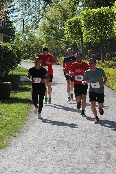 Öhringer Stadtlauf Hauptlauf 2026