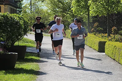 Öhringer Stadtlauf Hauptlauf 2026