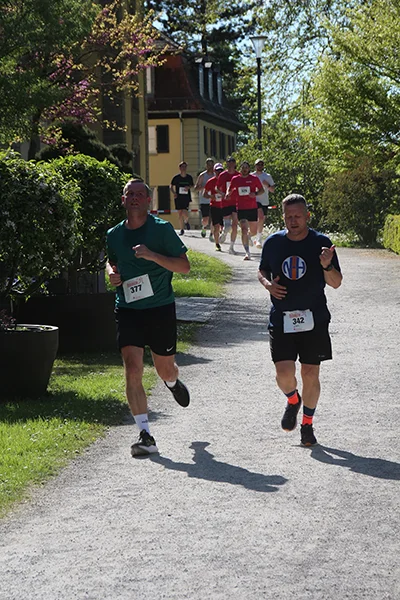 Öhringer Stadtlauf Hauptlauf 2026