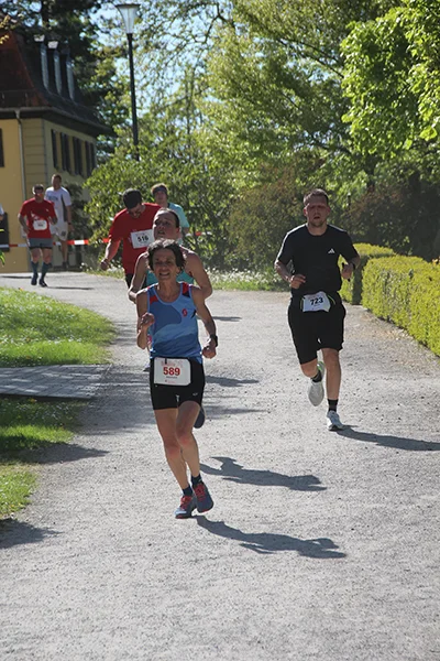 Öhringer Stadtlauf Hauptlauf 2026