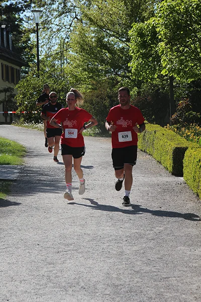 Öhringer Stadtlauf Hauptlauf 2026