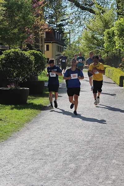 Öhringer Stadtlauf Hauptlauf 2026