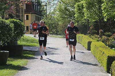 Öhringer Stadtlauf Hauptlauf 2026