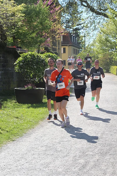 Öhringer Stadtlauf Hauptlauf 2026