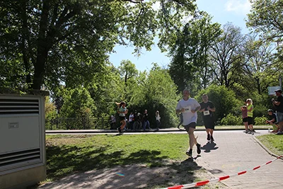 Öhringer Stadtlauf Hauptlauf 2026